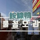 물꽁오리 앞 이미지