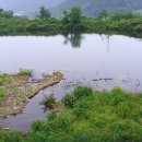 용천낚시 - 제주시 임항로 64 | 용천낚시