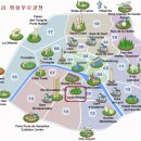 메디시스 이미지