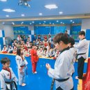 마루아라태권도 이미지