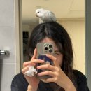 야지농장 이미지