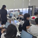 AI를 활용한 고양이 구하기 이미지