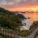 신시도(월영봉) 관광안내소 | 서해의 보석, 신시도 국립자연휴양림: 바다 위 휴식의 완성