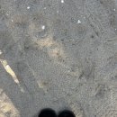 낮술파는찻집 | 강릉 1박2일 뚜벅이 여행 : 옹심이, 에어비엔비 숙소, 소품샵, 장칼국수