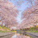 한수제 일원 이미지