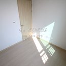 토운모닝톤 이미지