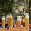 DDP역(4)(지하2층) | 12월 피치홀릭 DDP 팝업스토어 방문후기｜연말팝업구경해요!