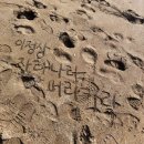 나산화원 | 2025 재주도 좋은 <제주도> 여행
