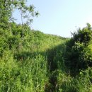 운암농로 | 호남6(운암 삼거리~구절재)