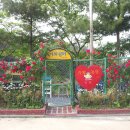 알뜰랜드 Daum카페
