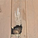 지에스25 봉담중앙점 이미지