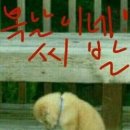 복 - 서구 대영로 37 | 복
