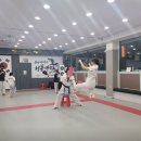 용인대 청용 태권도장 이미지