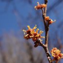 경상남도 수목원 이미지