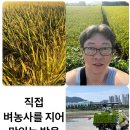 김해 민물장어구이 점심특선 맛집 금천장어구이 이미지