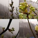 봉화산골마을