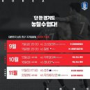 대한민국 축구대표팀 10월, 11월 평가전 일정 이미지