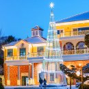 (축제) &#34;이 정도면 해외 축제급인데&#34; 대형 트리와 무료 체험, 밤마다 빛나는 겨울 축제 이미지