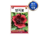 다농 이미지
