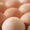 서연농장 이미지