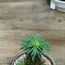 마옥농장 이미지