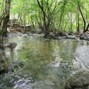 거제자연휴양림 이미지