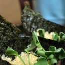 신태평양 이미지