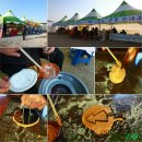 영월스키 이미지