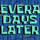 팍스메디칼 이미지