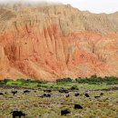 반지마을회관 이미지