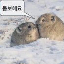 혜건