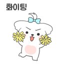 동동 애견 미용 이미지