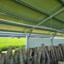 금준 태양광발전소 이미지