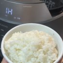 함안 쌀 추천 밥맛좋은 24년 당일도정 햇바람 햅쌀 10kg