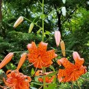 구덕공원 이미지