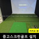 스크린골프VX 이미지