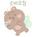 다야뷰티