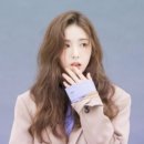 현애견미용실 이미지