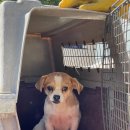 적성면 각기민원센터 이미지