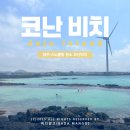 코난비치 | [제주도] 코난 비치 스노클링 후기(주차, 해파리)
