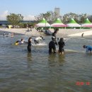 서울참새 이미지