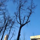 세종대학교 행정대학원 이미지