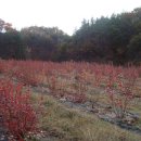 이헌농장 이미지