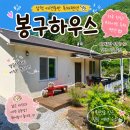 애견하우스 | 삼척애견동반펜션 봉구하우스 독채 감성 숙소 후기