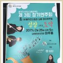 스트라비전 이미지