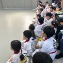 위올태권도 이미지