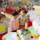 김천중앙초교병설유치원 이미지