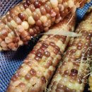 미미까까 이미지