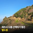 제주 오름 산책 | 제주시 오름 산책 잠깐 걷고 싶을 때 생각나는 별도봉