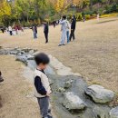 피나클랜드 | &lt;아산 영인&gt; 가을 피크닉 방문하기 좋은 가을꽃축제 &#39;피나클랜드&#39; 후기